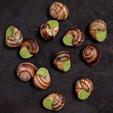 Escargots en persillade - snails in garlic parsley butter - 12 pieces plate - Les Gastronomes