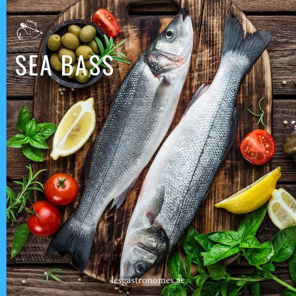 Wild Sea Bass 600g - 800g - Les Gastronomes